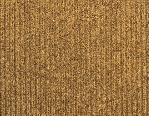 Rewind 900 Rib AXA 1098